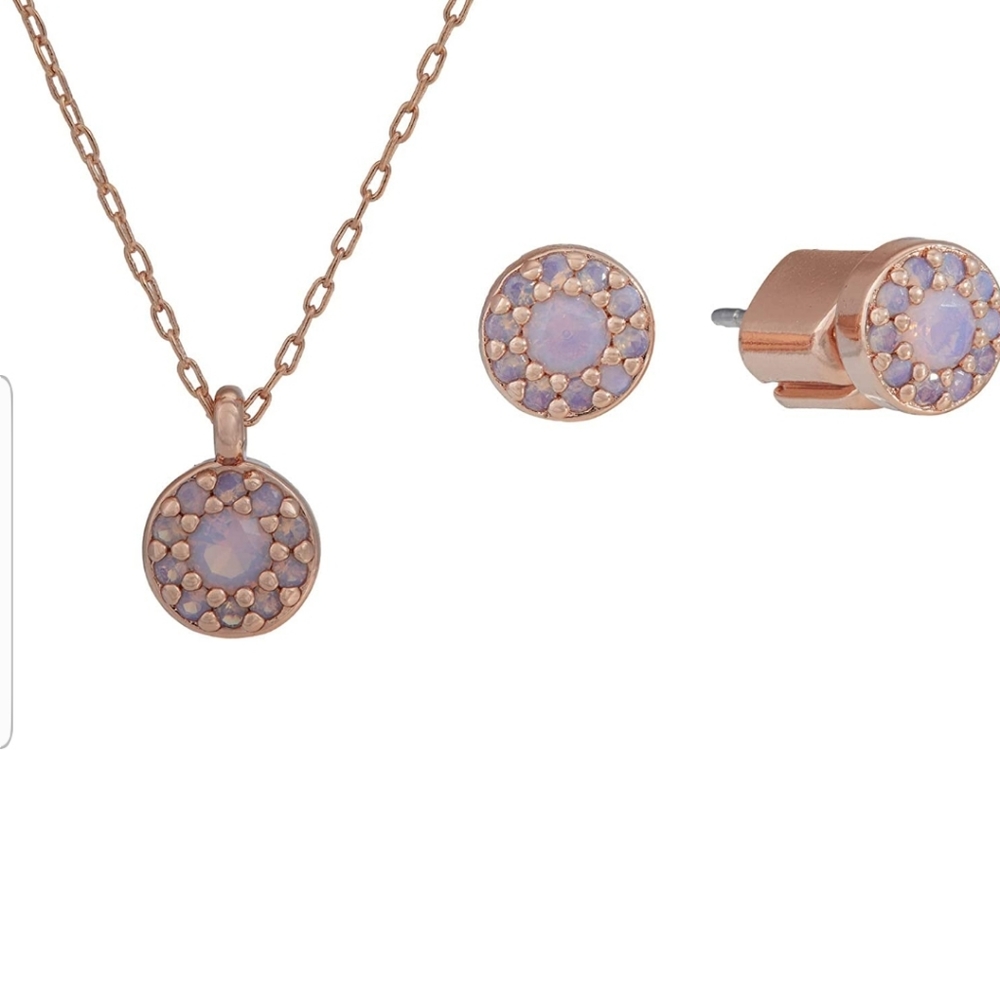 Kate Spade Something Sparkly Pave Earrings and Necklace Set